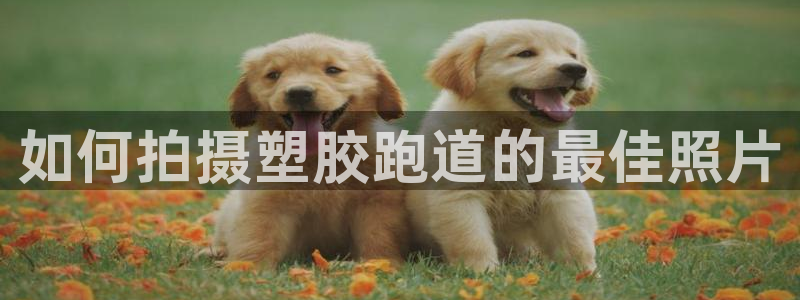 红足1世手机下载：如何拍摄塑胶跑道的最佳照片