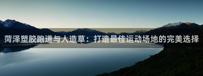 66814红足一66814世：菏泽塑胶跑道与人造草：打造最佳运动场地的完美选择