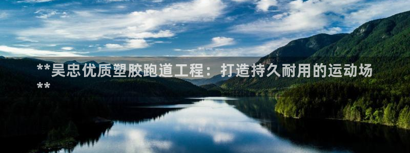 百度红足一1世：**吴忠优质塑胶跑道工程：打造持久耐用的运动场
**