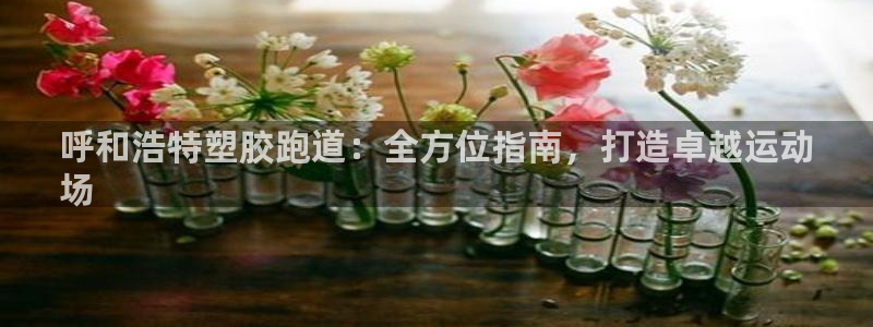 777814红·足一世比分篮球：呼和浩特塑胶跑道：全方位指南，打造卓越运动
场