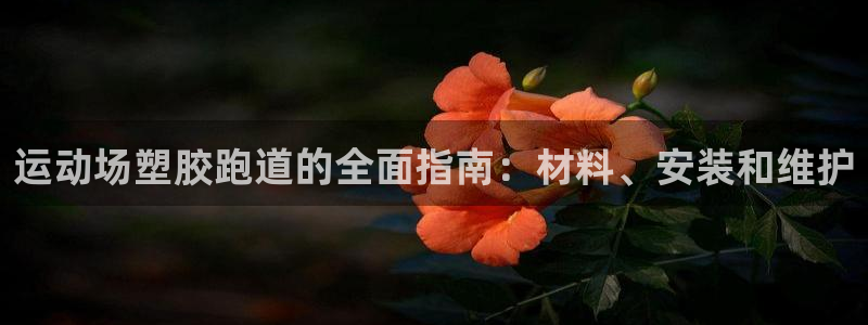 红足i世足球手机网：运动场塑胶跑道的全面指南：材料、安装和维护