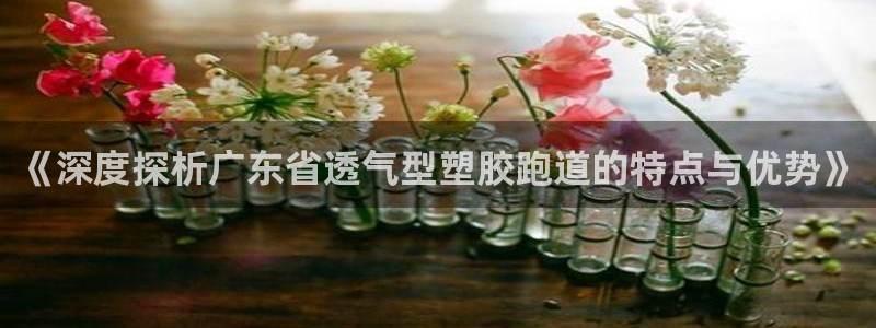 红足1世1站2站管理网：《深度探析广东省透气型塑胶跑道的特点与优势》