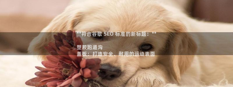 红足一1世皇冠登录：**符合谷歌 SEO 标准的新标题：**

塑胶跑道沟
盖板：打造安全、耐用的运动表面