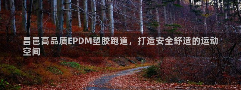 红足一一世：昌邑高品质EPDM塑胶跑道，打造安全舒适的运动
空间