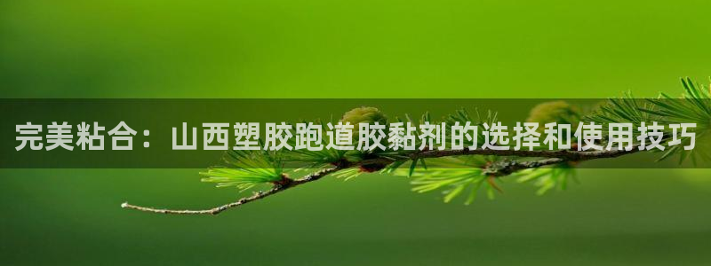 红足1世手机版下载：完美粘合：山西塑胶跑道胶黏剂的选择和使用技巧