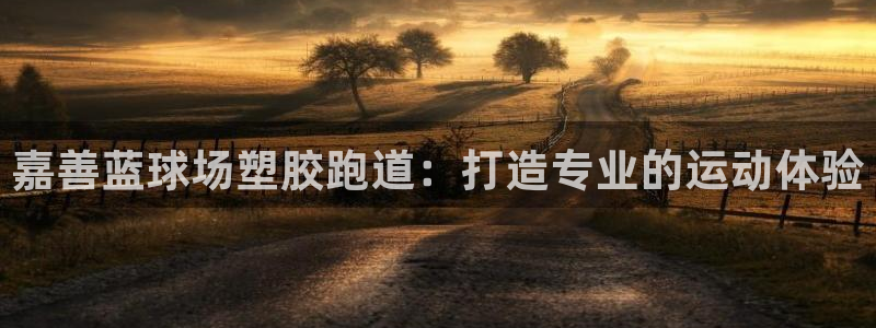 百度红足一1是什么样子的：嘉善蓝球场塑胶跑道：打造专业的运动体验