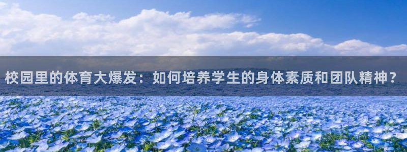 谈球吧